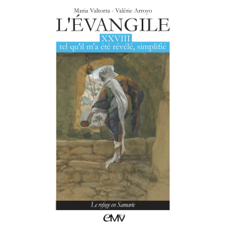 L'Évangile tel qu'il m'a été révélé simplifié - Tome 28